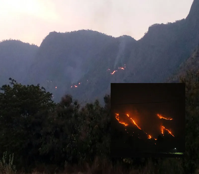 fire